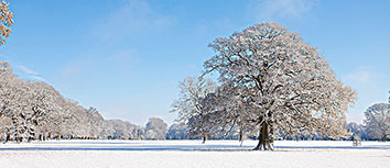 强强对抗！足球比赛中的激情较量